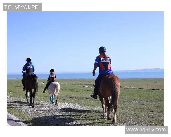 马字足球明星的传奇之路与辉煌成就探秘